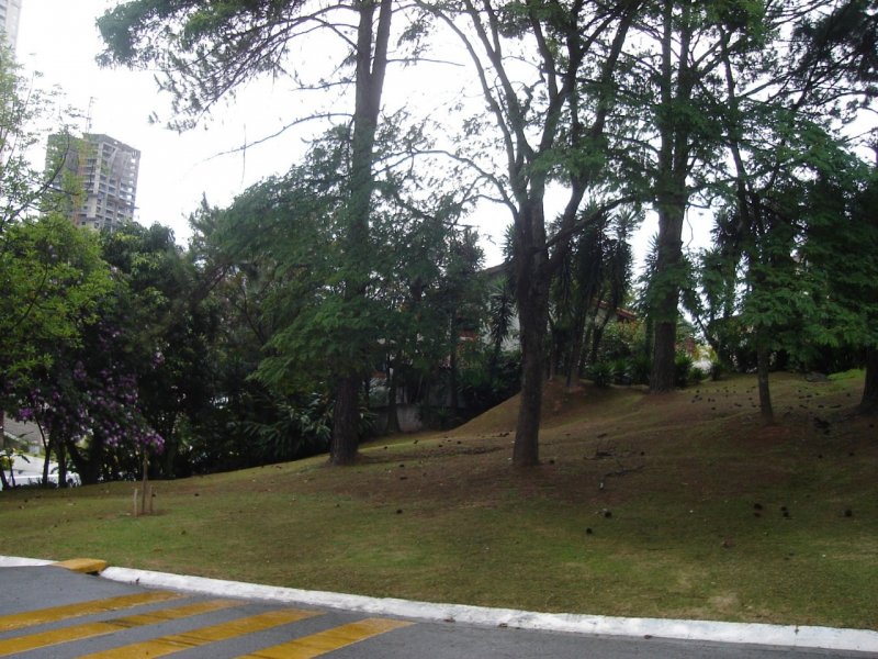 Terreno em Condomínio - Venda - Alphaville - Santana de Parnaíba - SP